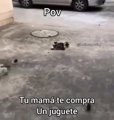Confirmo😔