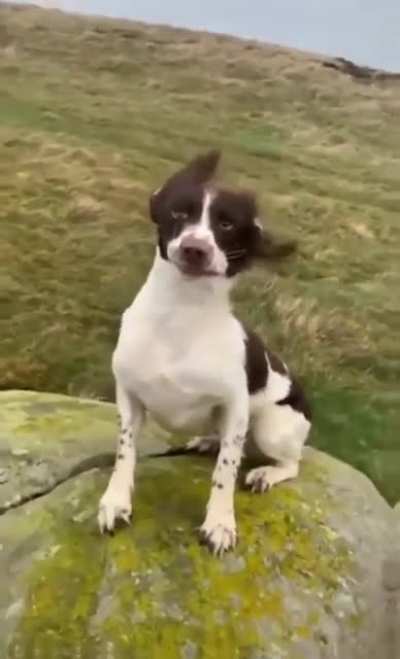 it's a bit windy dude .