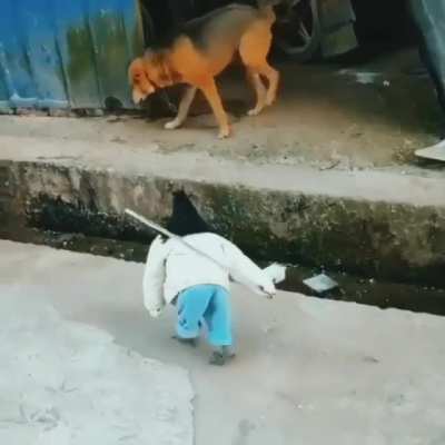 El patron de fundo
