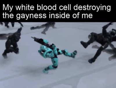 Always remember to say no homo