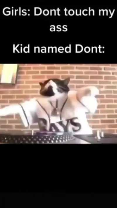 😎
