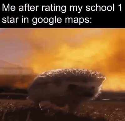 A very quirky title