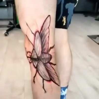 Cool in concept, but a big beetle?