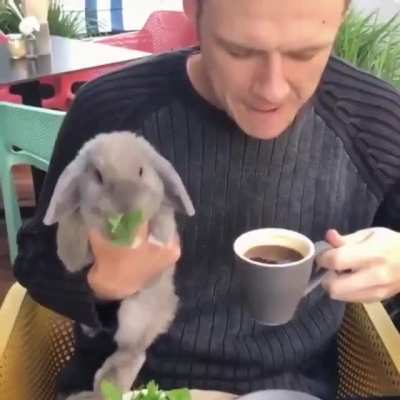 This video literally made my day .