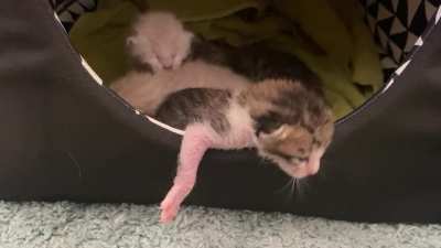 I’m breaking out of here!!! … wait…maybe not.