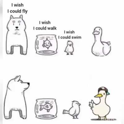 Multifunction duck