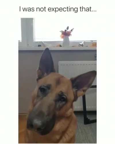 Maybe maybe maybe