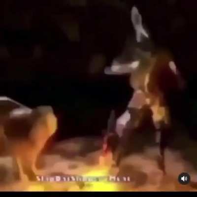 Rule of chili