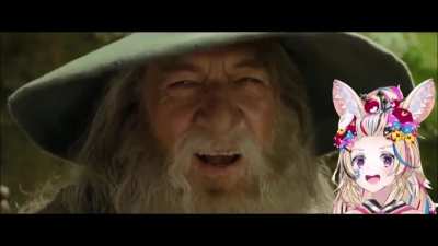 Just Polka and Gandalph vibing together
