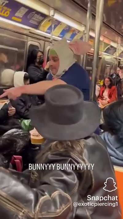 SubwayCreatures