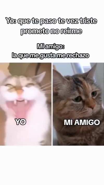 BeelcitosMemes - Video #7562