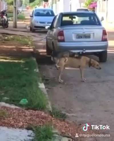 No dejes que tus sueños sean sueños