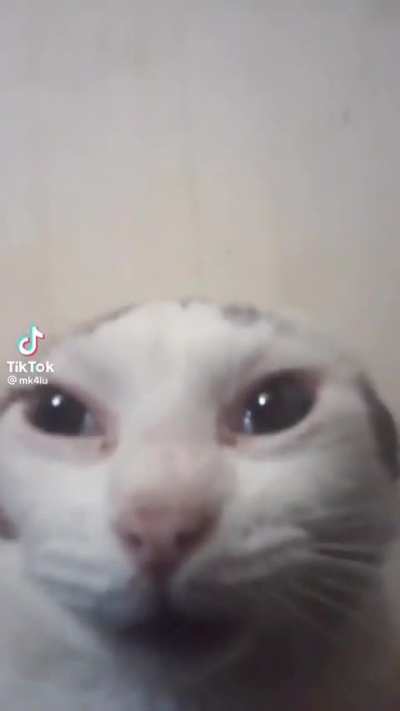 gremlin