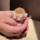 So smol ☺️