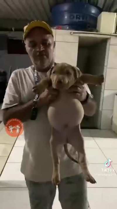 ð¥°ð¶ð¶