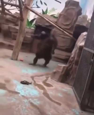 Chunky Monky