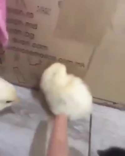 Yeah whats up bro