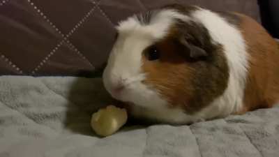 just my girl Kimi enjoying her floor time snack