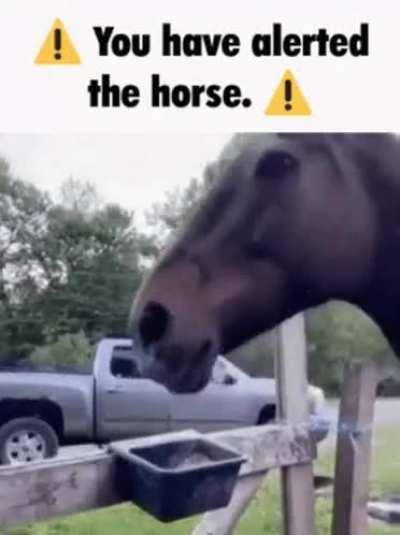 ⚠️Rule nr.1⚠️