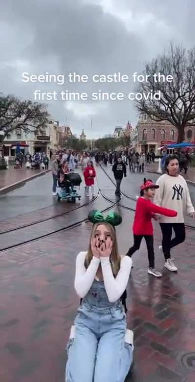 Disney adult
