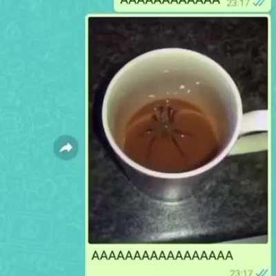 AAAAAAAAA...