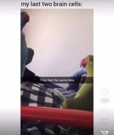 Bird is the word
