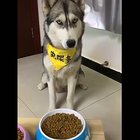 The look on his face!