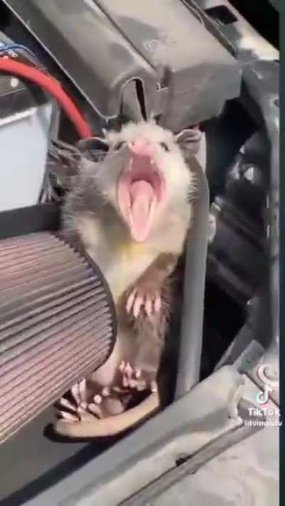 Hey there