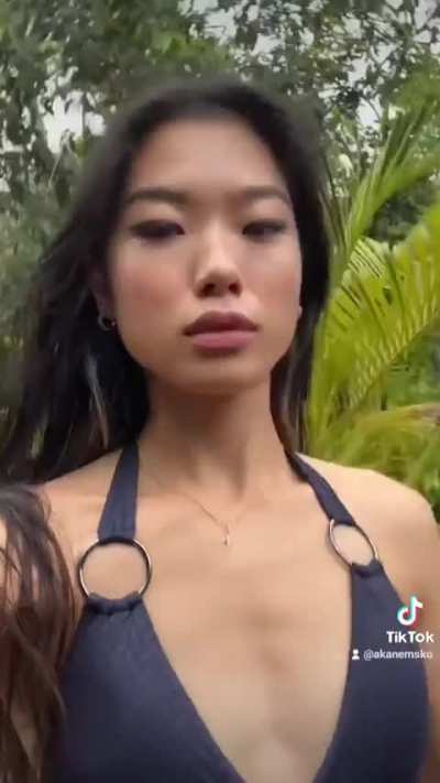 akaNemsko