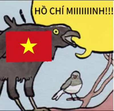 🇻🇳