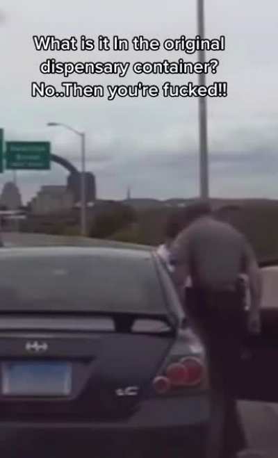 Cop loses it on the side of the highway