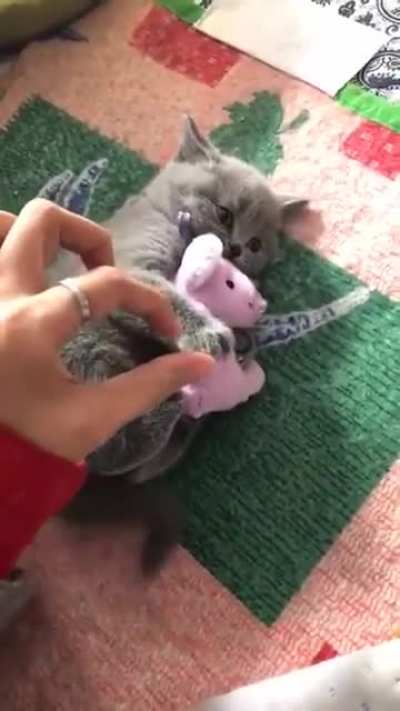 Stop it, it's mine