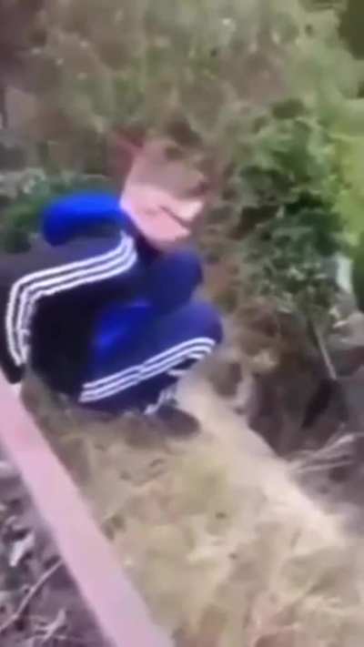 Parkour