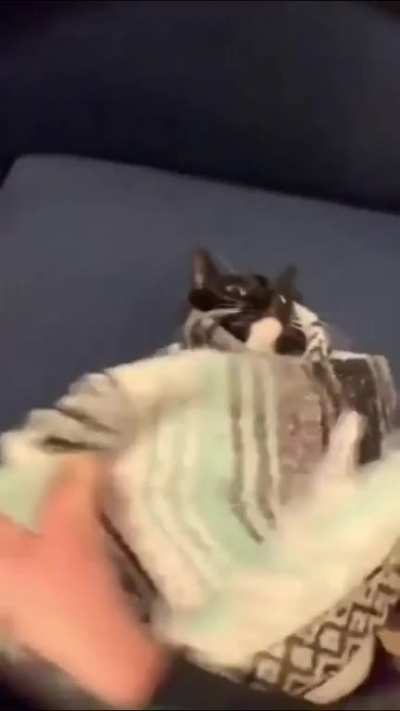 trapped wunk