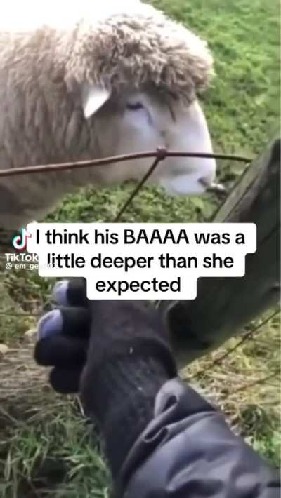 Bah