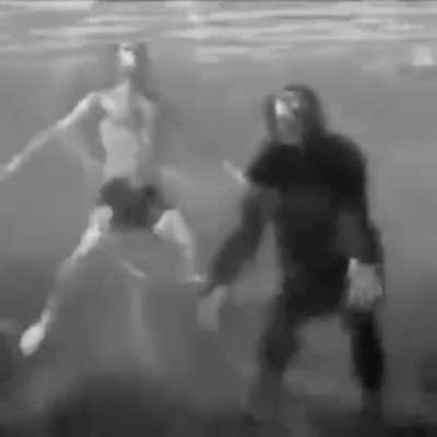 This is so sad, 1 nude = 1 chimp saved 😩😩