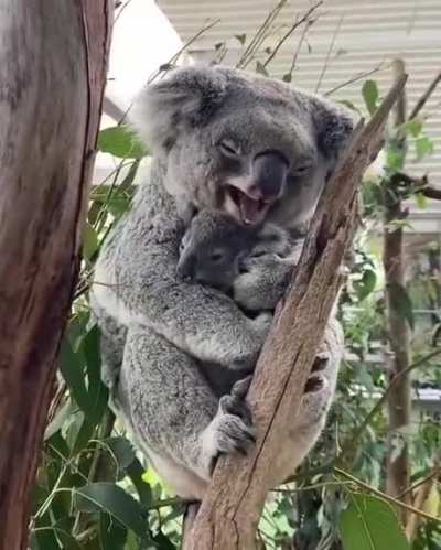 Why so cute
