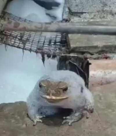 Blursed slideshow