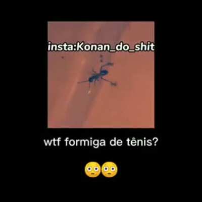 WTF TENIS?