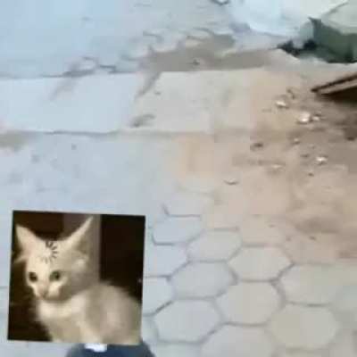 não é meu só gostei e quero mostrar feito por u/NoWeb7072