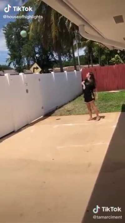 A fun game of catch
