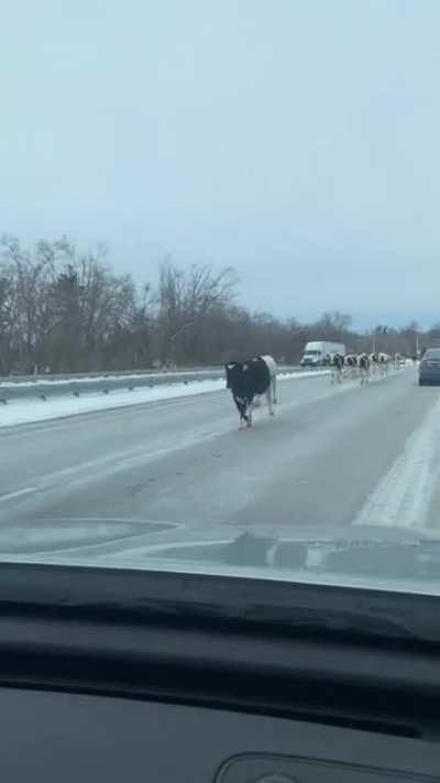 SouthBend