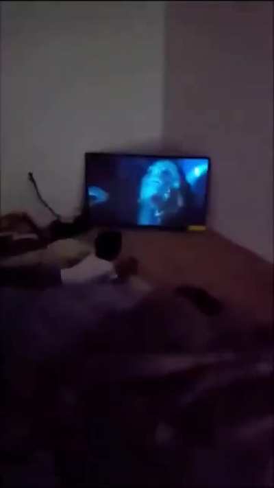 foda demais