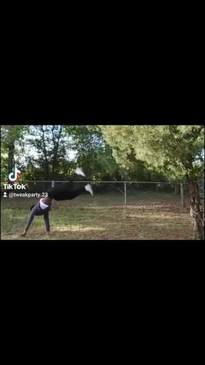 This is my roundoff backflip now it has it has improved alot any tips