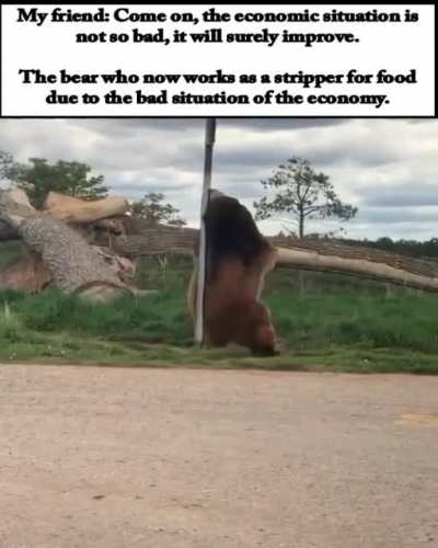 Even the bears are having a hard time.