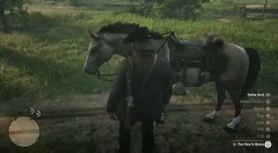 Horse care is very important