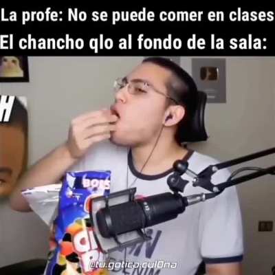 Chancho ql