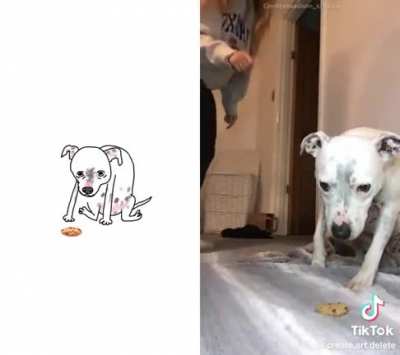 Funny doggies, you're welcome