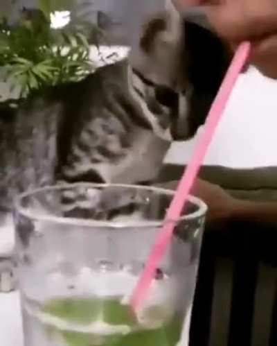 А ну-ка дай-ка