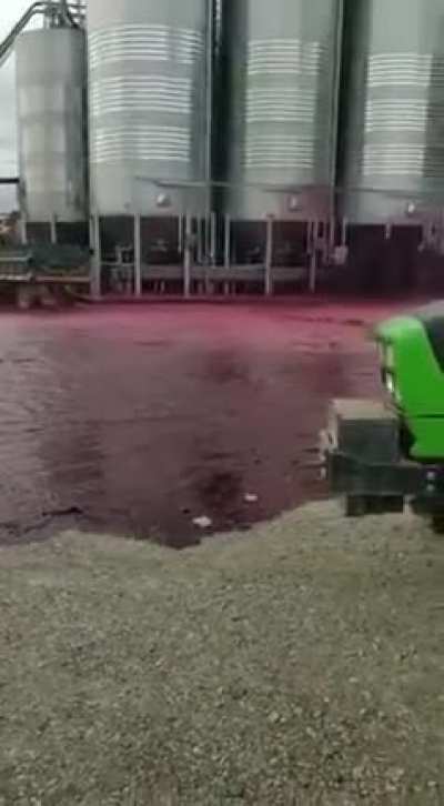 So much wine